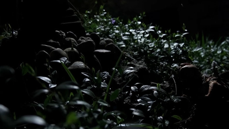 Gnome (2015)