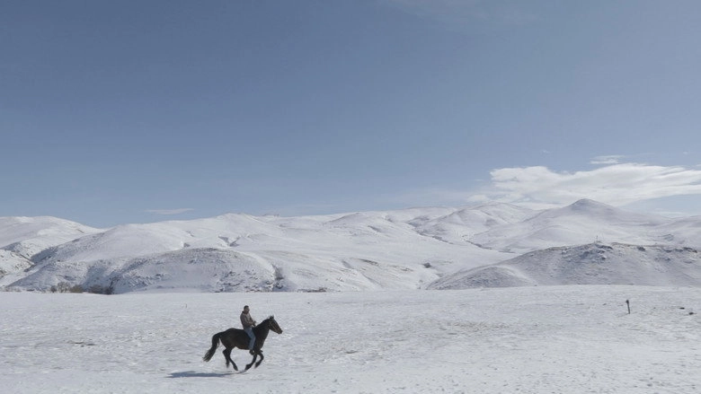 5 Dreamers And A Horse (2022)