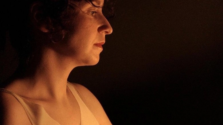 Hard Light (2011)