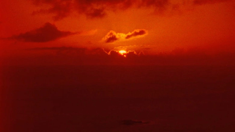 Fire Flower (2026)