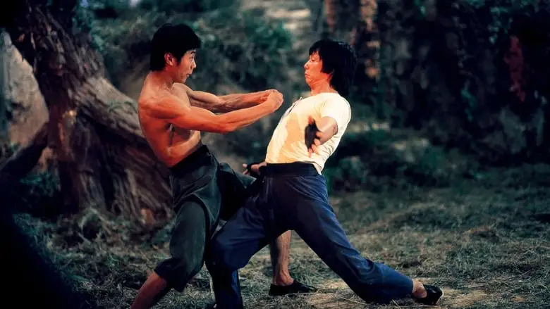 Mad Monkey Kung Fu (1979)