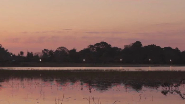 La Patria De Todos Los Tarros De Colores (2013)