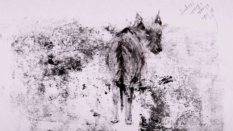 Decay (2026)