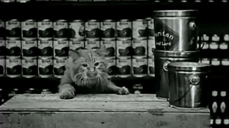 The Grocery Clerk (1919)