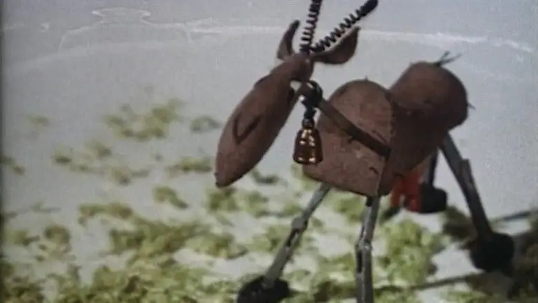 What A Miracle (1965)