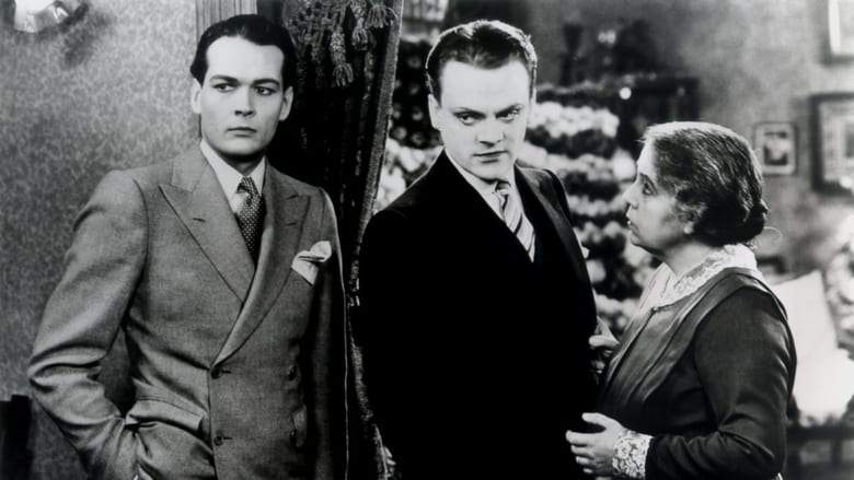 Public Enemies: The Golden Age Of The Gangster Film (2008)