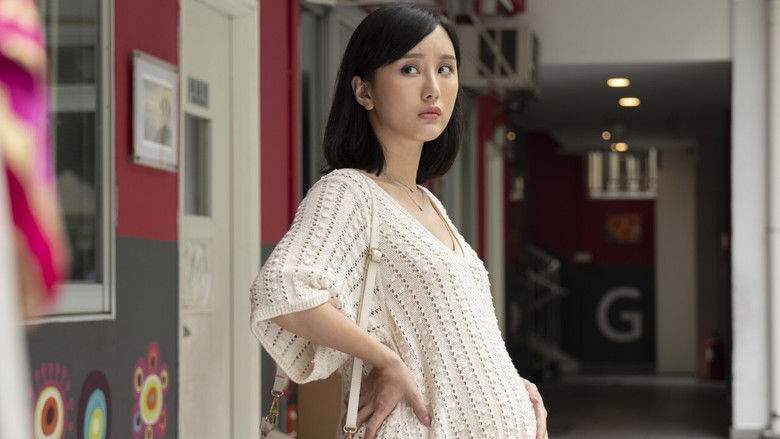 The Secret Diary Of A Mom To Be (2020)