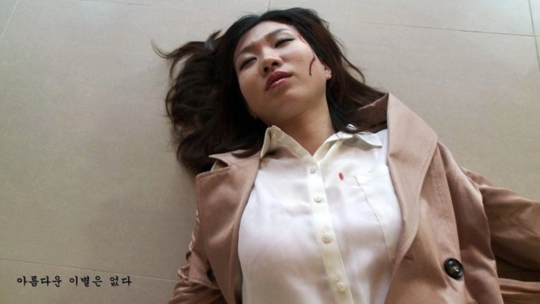 There Is No Beautiful Farewell (2013)
