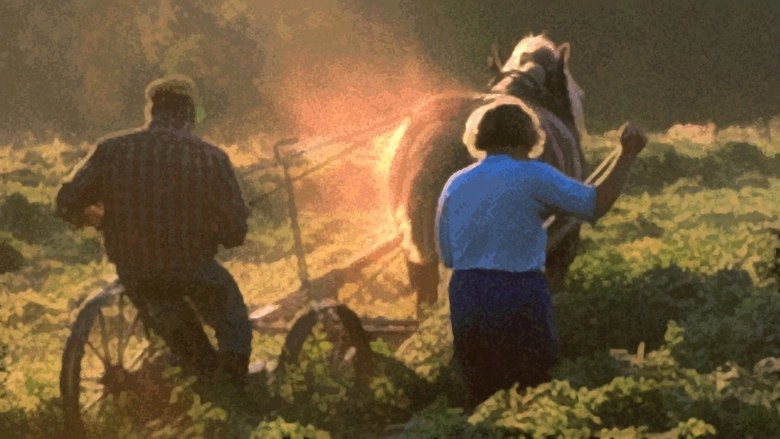 The Farmer's Time On Earth (2003)