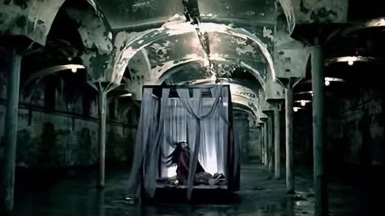 Snow Doesn't Melt Forever (2010)