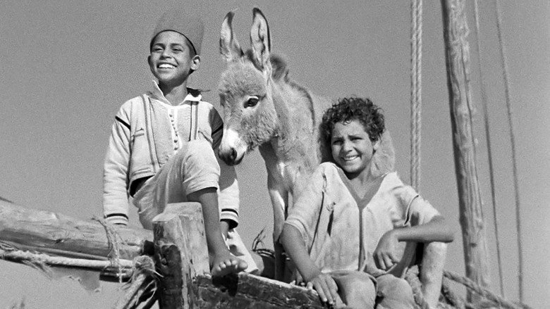 Bim, The Little Donkey (1951)