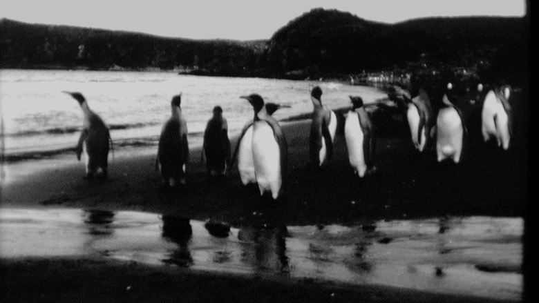 End Of Summer (2014)