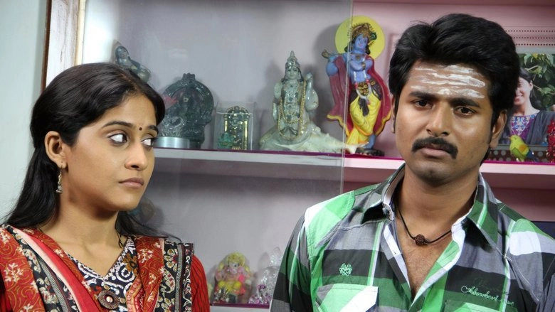 Kedi Billa Killadi Ranga (2013)