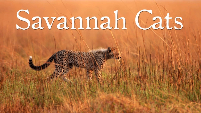 Savannah Cats (1995)