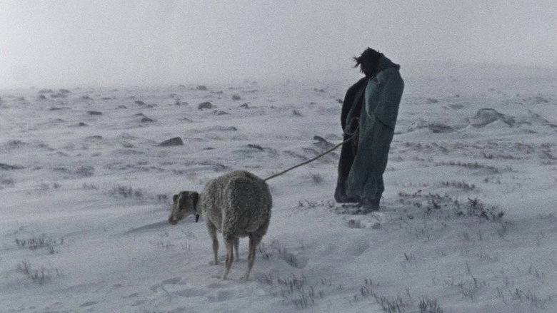 For The Lost (2014)