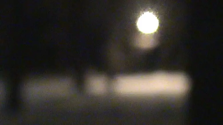 A Winter Blur (2026)