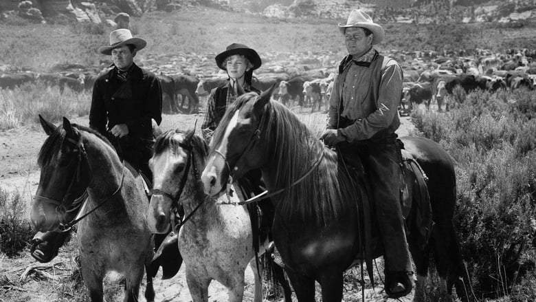 Ramrod (1947)