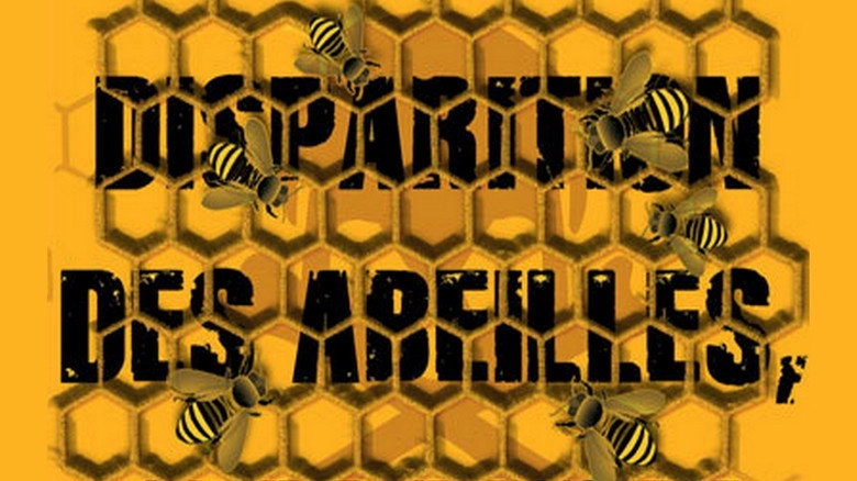 Disparition Des Abeilles, La Fin D'un Mystere (2011)
