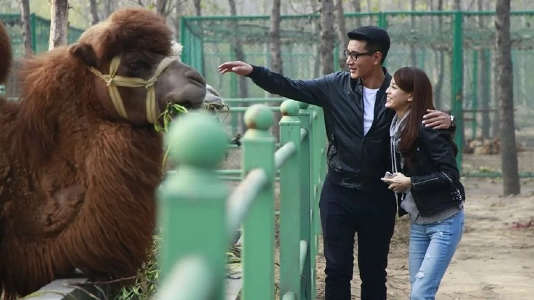 Zero Point Five Love (2014)