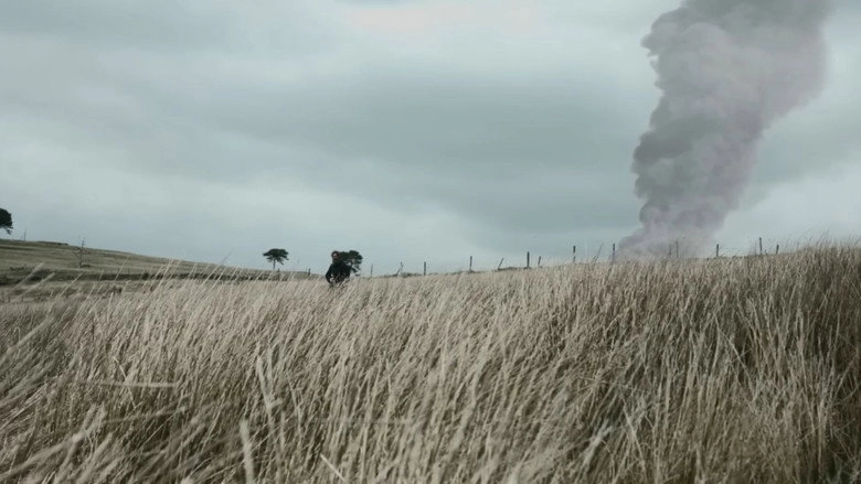 A Hollow Tree (2023)