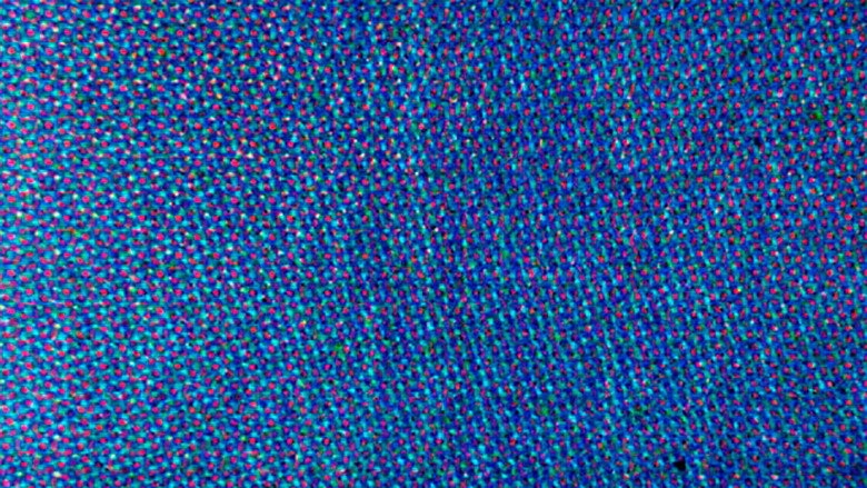 Blue Movie (2014)