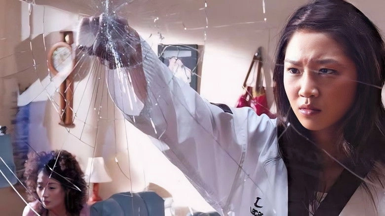 Cheoleobtneun Anaewa Paramanjanhan Nampyeon Geurigo Taekwon Sonyeo (2002)