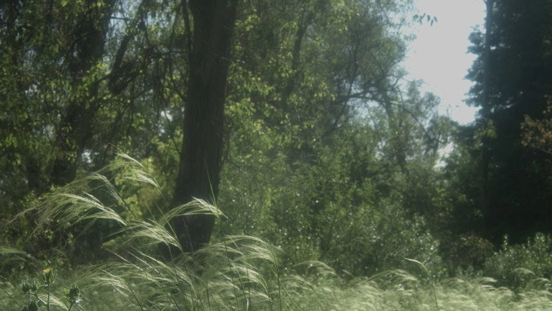 El Camino (2022)