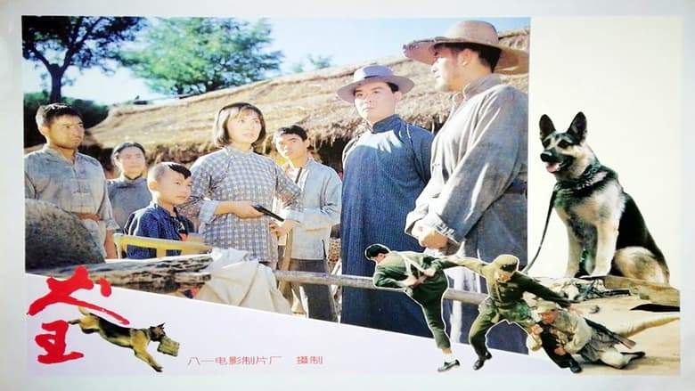 Quan Wang (1993)