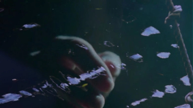 Seeing Through The Mists Of Oblivion (2023)