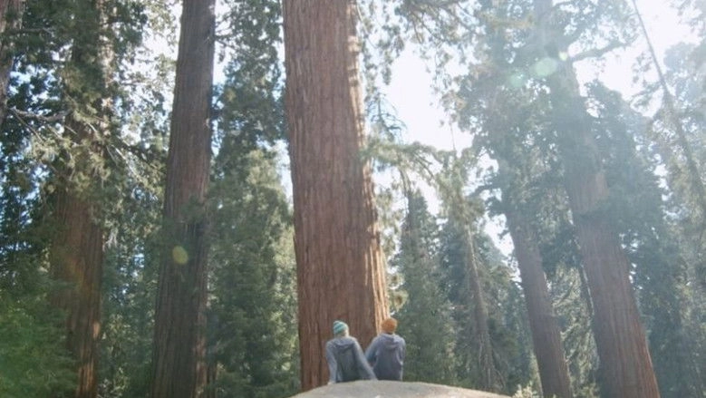 Dear Luke, Love Me (2024)