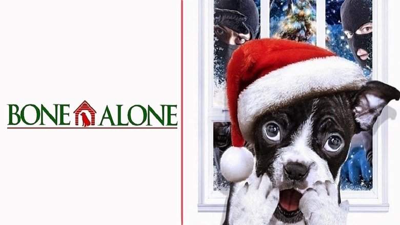 Alone For Christmas (2013)