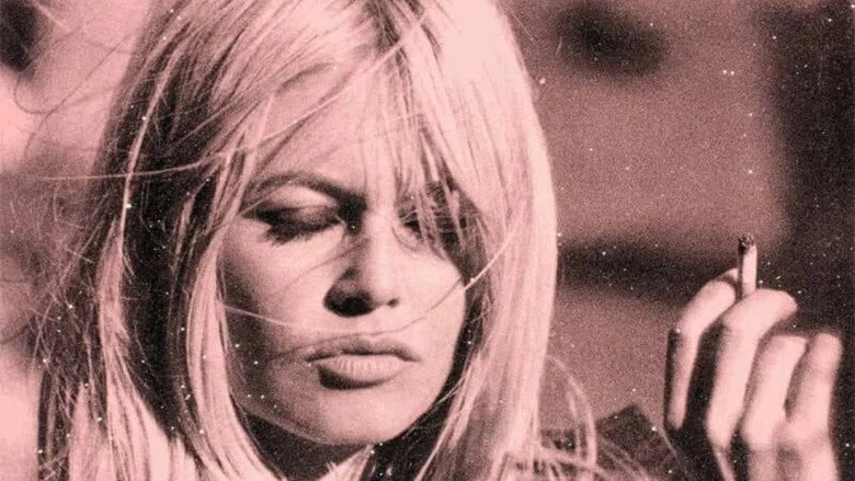 Bardot, La Meprise (2013)