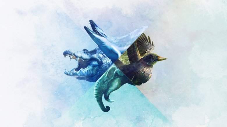When Whales Walked: Journeys In Deep Time (2019)