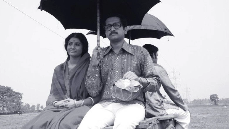 Apur Panchali (2014)