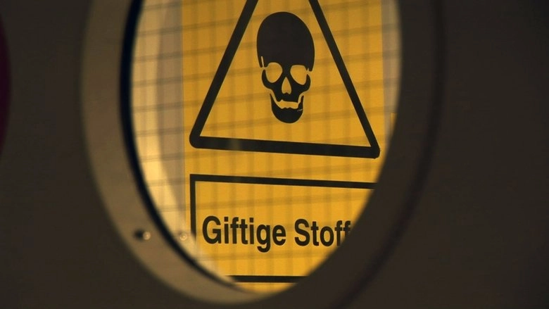 The Subjection (2010)