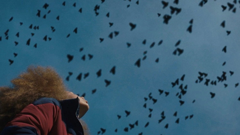 Broken Bird (2020)