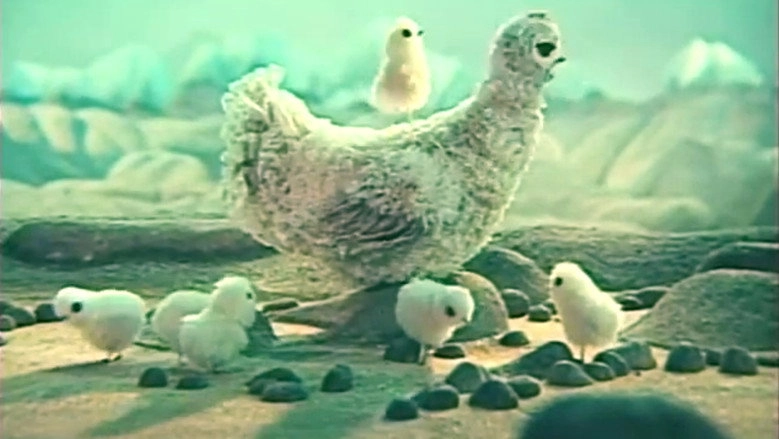 Little Chicken (1984)