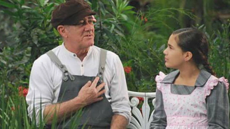 O Guerreiro Didi E A Ninja Lili (2008)