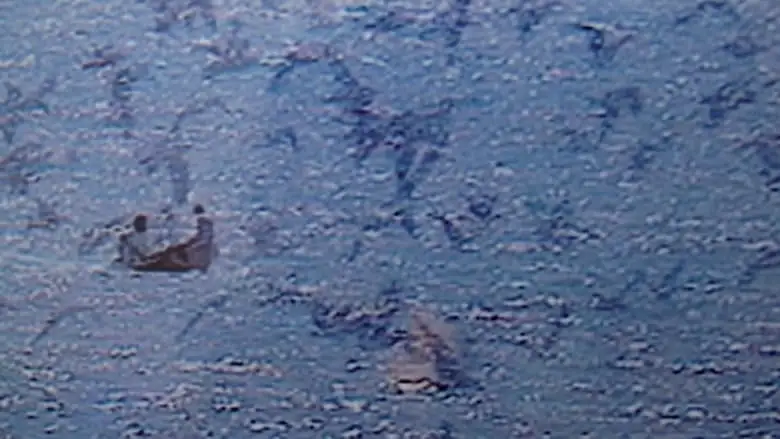 La Quimera De La Costa (1994)