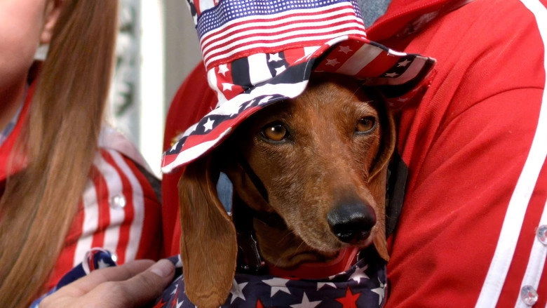 Wiener Dog Internationals (2015)