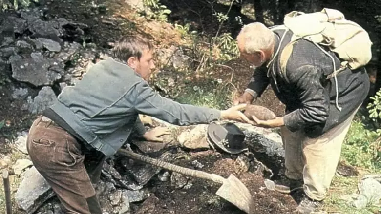 I Recuperanti (1972)