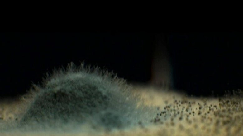 Mold (2009)
