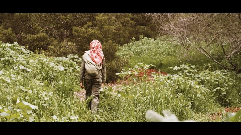 Niara (2017)
