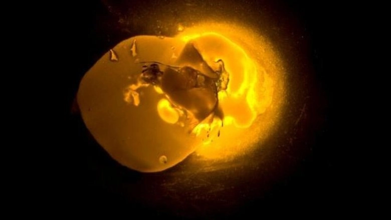 Qui A Mange La Soupe Cosmique? (2005)