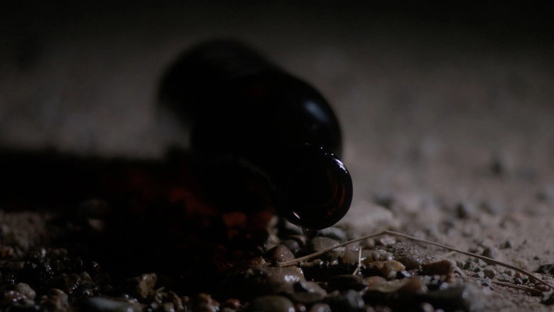 Our Shadow (2025)