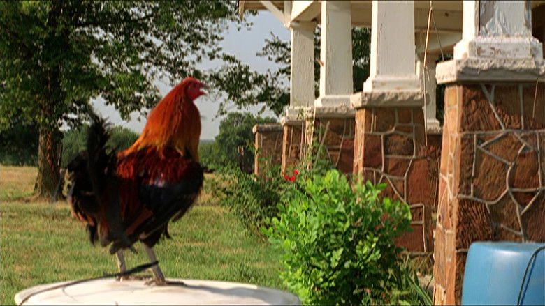 The Round And Round (2002)