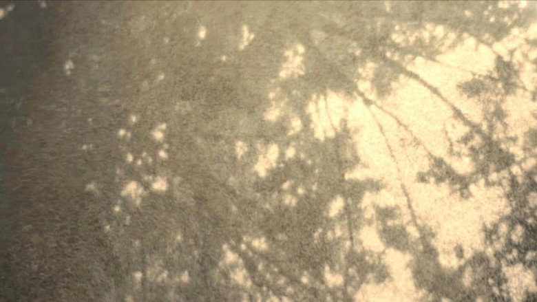 Wordless In Woods (2014)