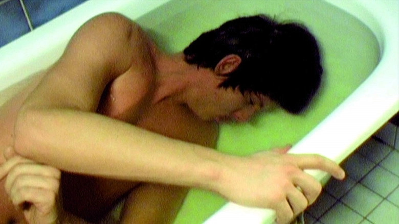 Indian Summer (2011)