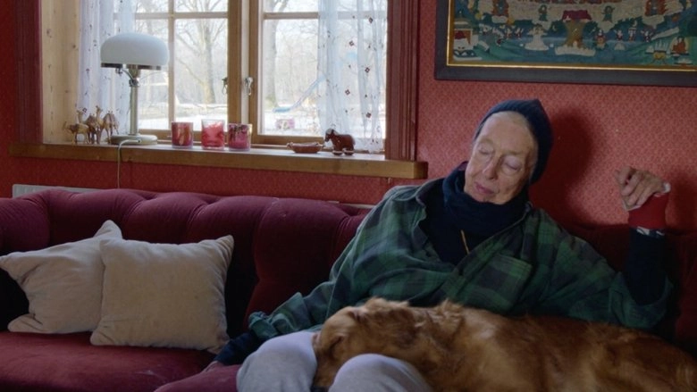 Nina Hedenius - Ett Ogonblick I Sander (2023)