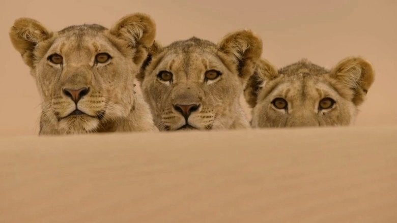 Vanishing Kings II - Desert Lion Legacy (2017)